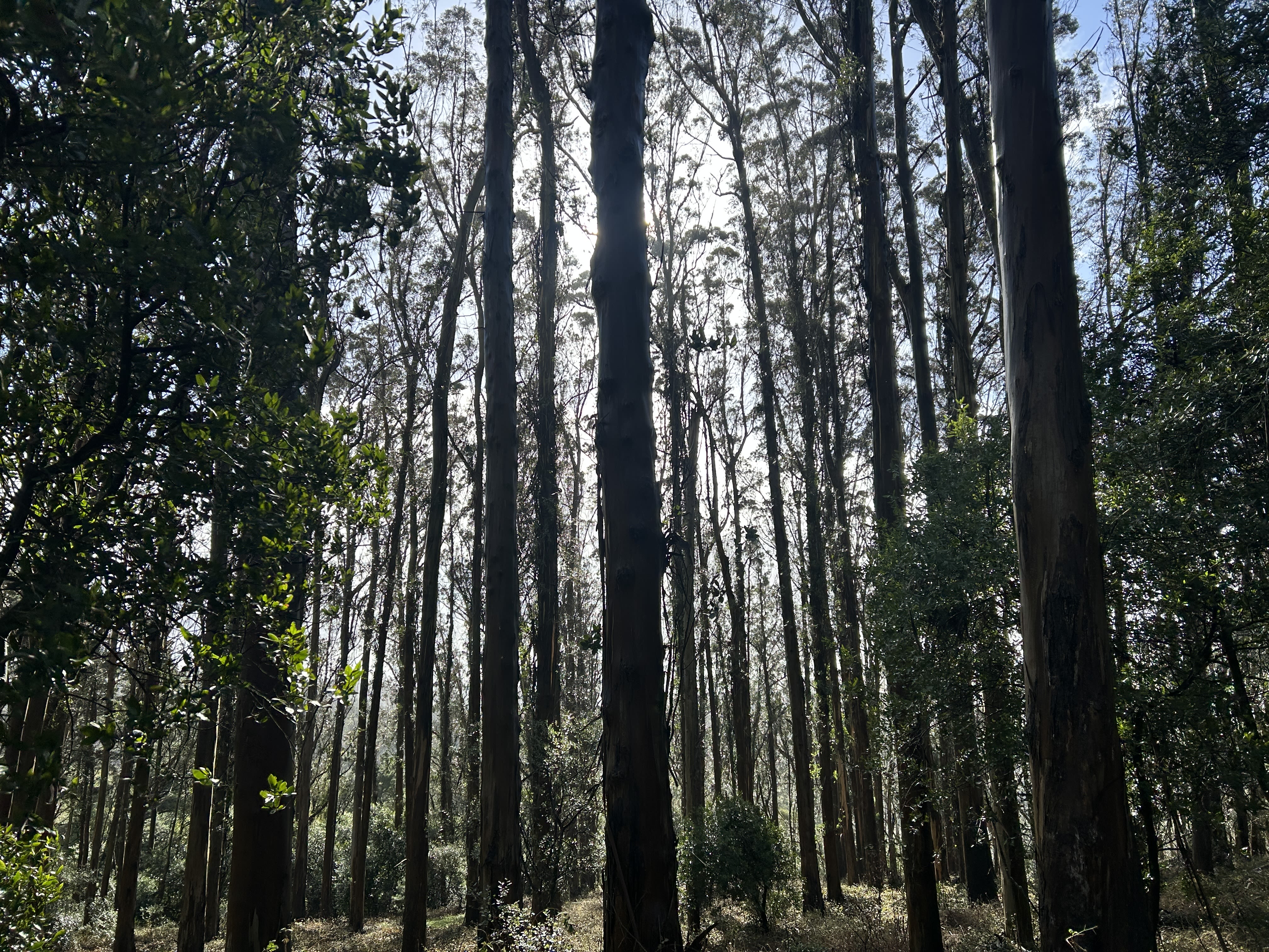 View one a bay in the Central Valley of California. 