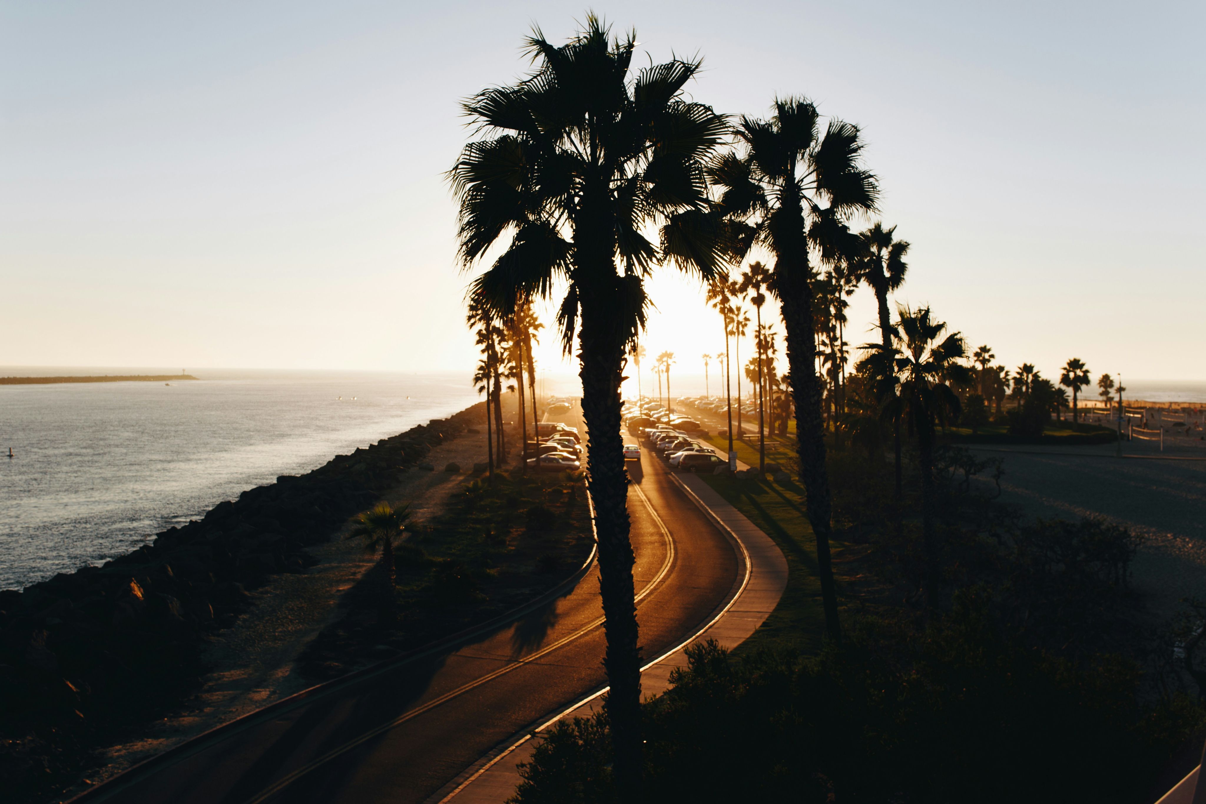 A road with ocean on one side and palm trees on the other. 